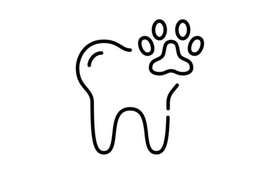 Tooth with paw print representing dental hygiene for pets