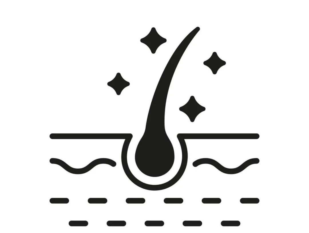 Hair follicle icon representing healthy skin and coat