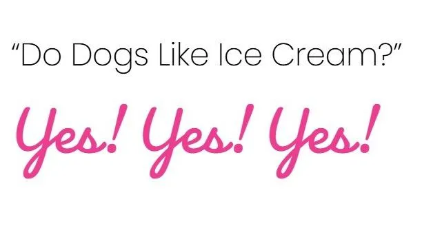 Cool Dogs Ice Cream mix