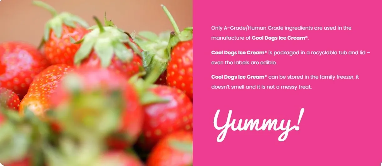 Cool Dogs Ice Cream mix - complete view