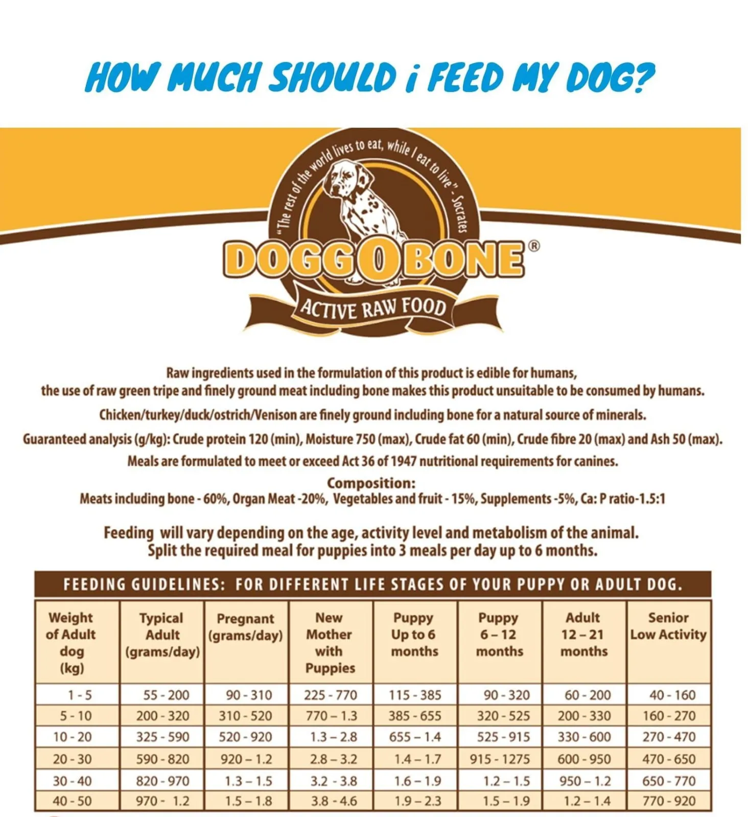Comprehensive feeding guide chart showing daily portions for different dog sizes and life stages
